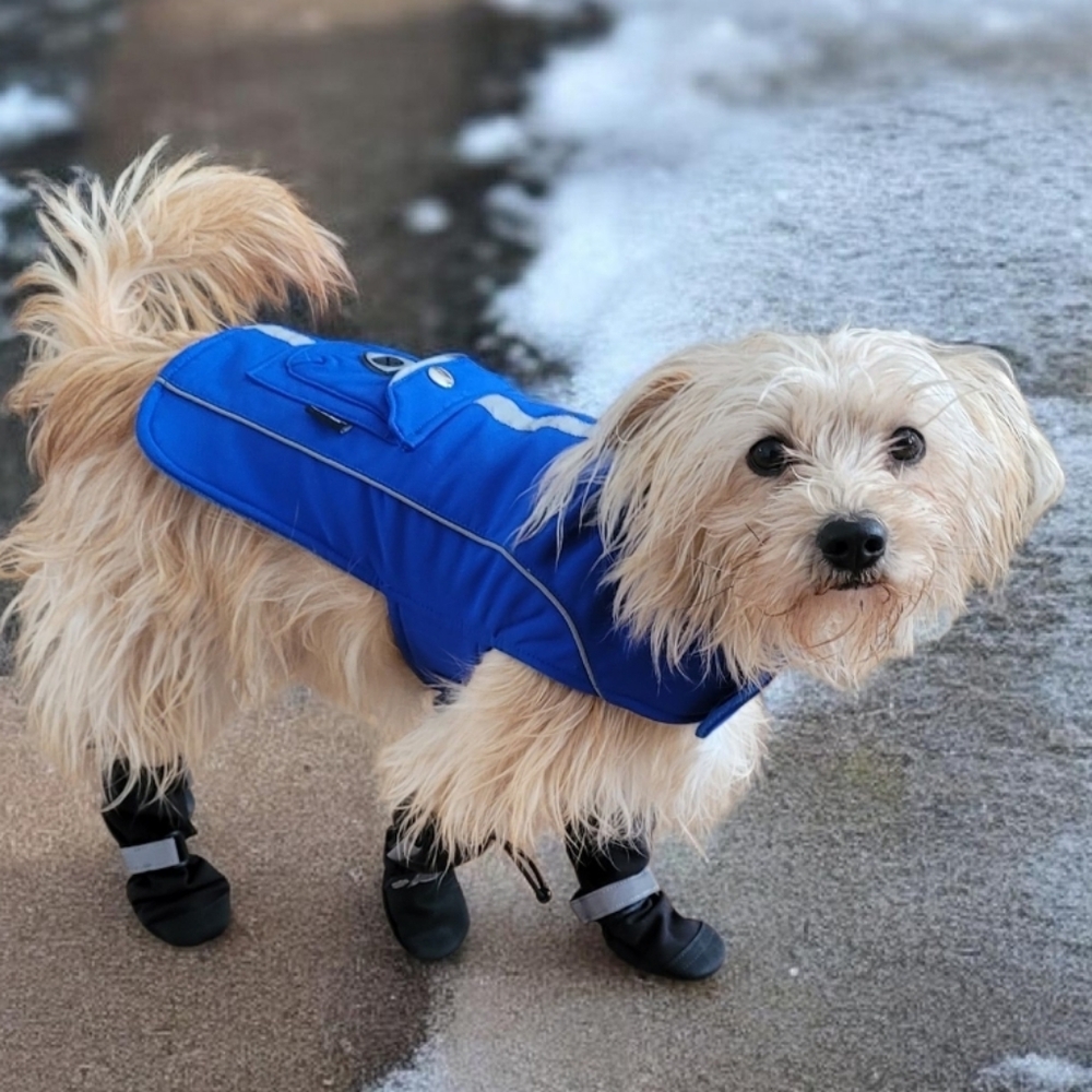 SILVER PAW Reflective Dog Vest